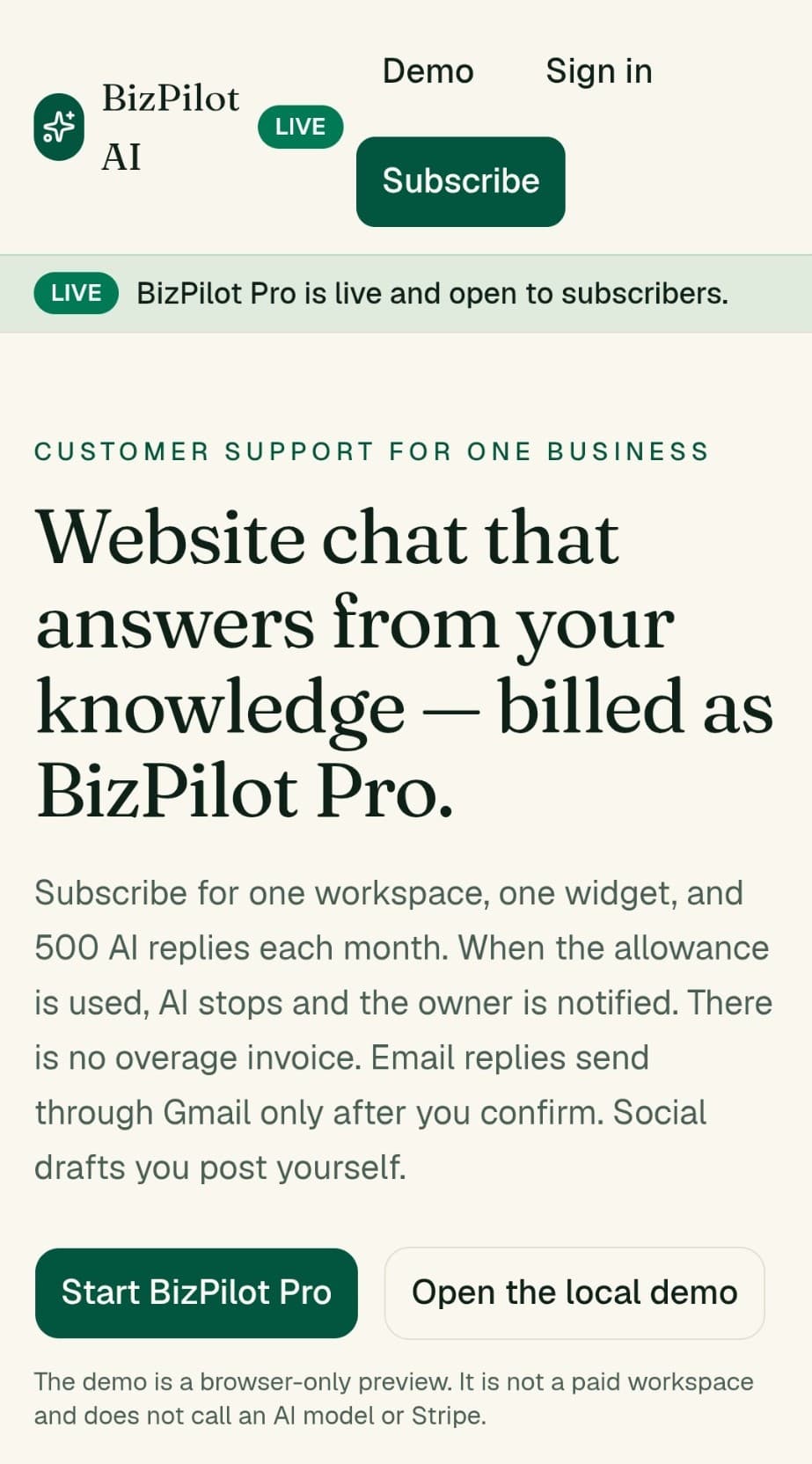 Screenshot of the BizPilot AI website